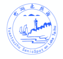 largeIcon