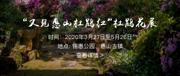 buttonBg_2