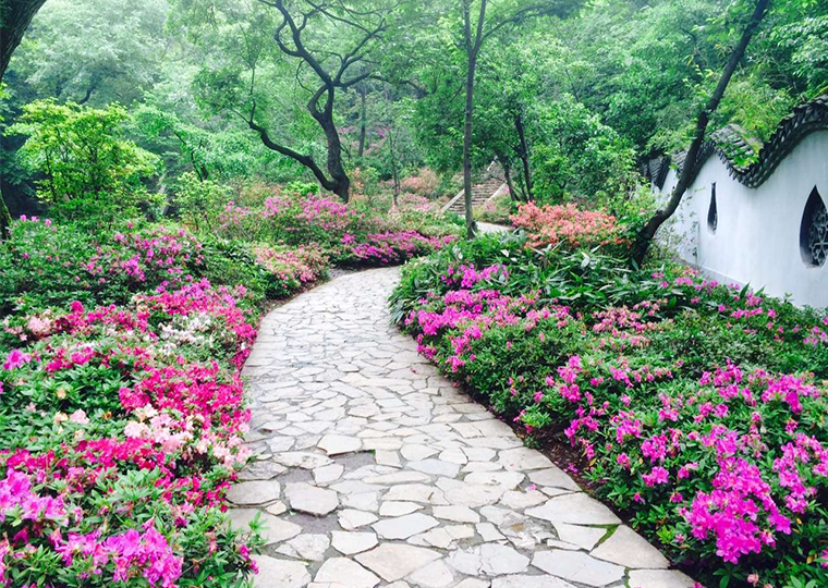 第二十一届无锡市花——杜鹃花节